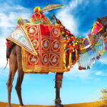 rajasthan tour packeges