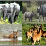 rajasthan tour packeges