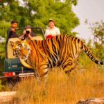 Todgarh-Raoli-Wildlife-Sanctuary