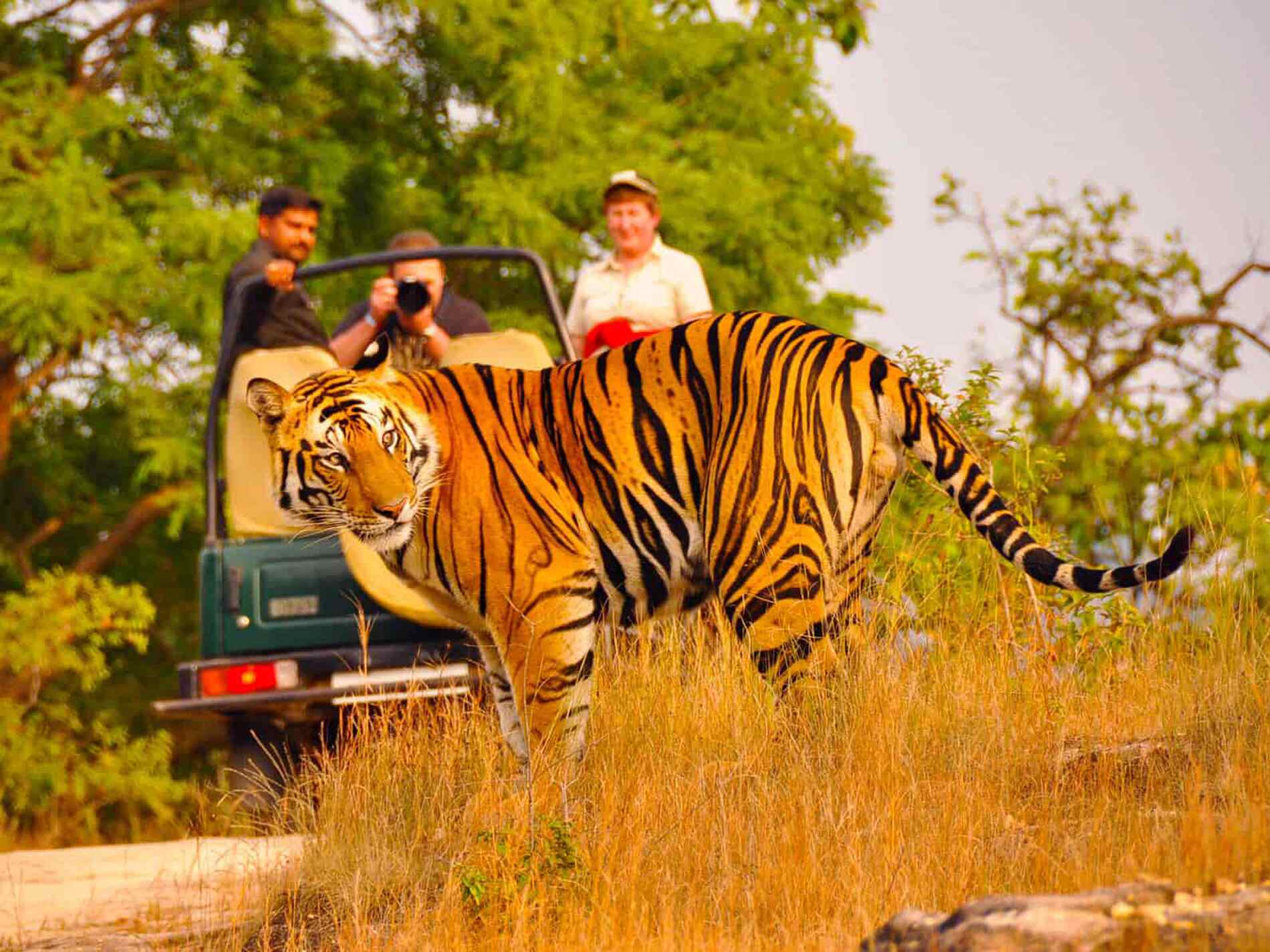 Todgarh Raoli Wildlife Sanctuary
