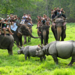 chitwan-national-park