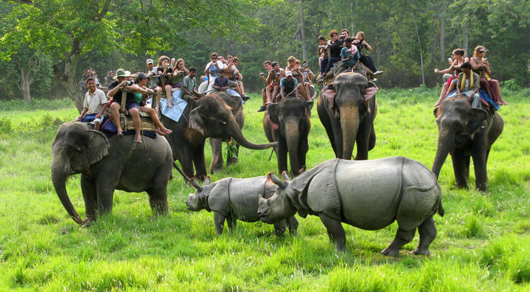 chitwan-national-park