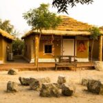 Guda Bishnoi Village A Glimpse into Rajasthan's Eco-Conscious Tribal Heritage
