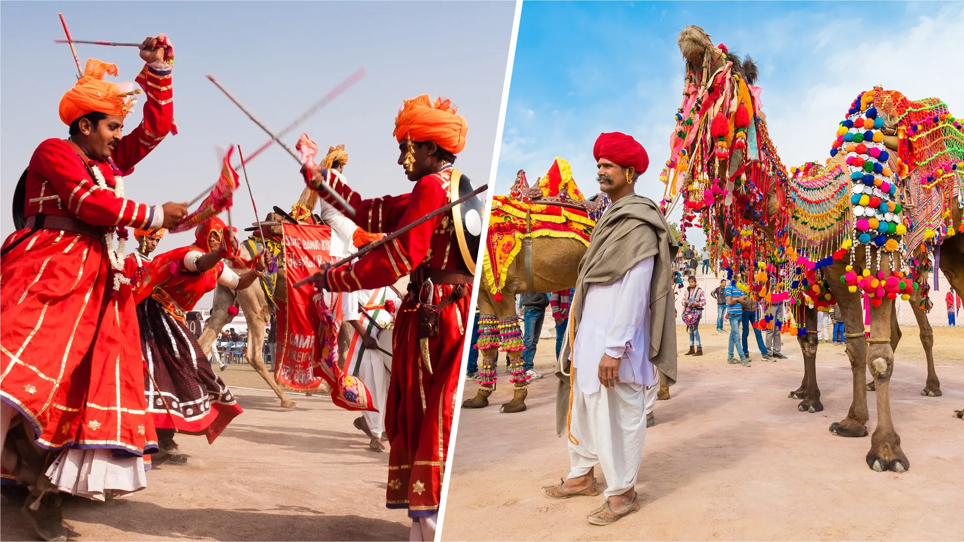 Bikaner Camel Festival A Vibrant Celebration of Rajasthan’s Desert Icon