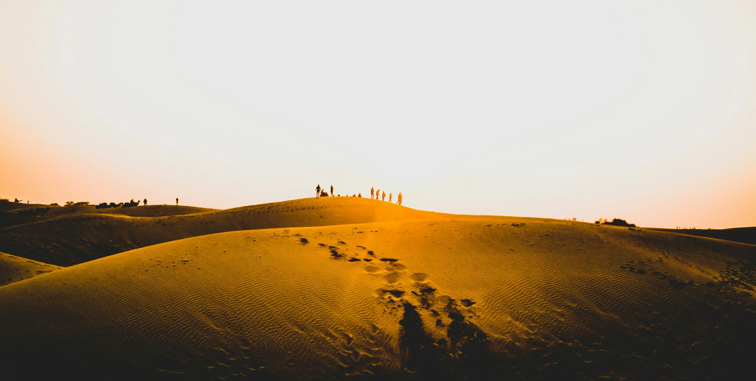 Thar Desert Safari An Unforgettable Adventure in Bikaner’s Golden Sands