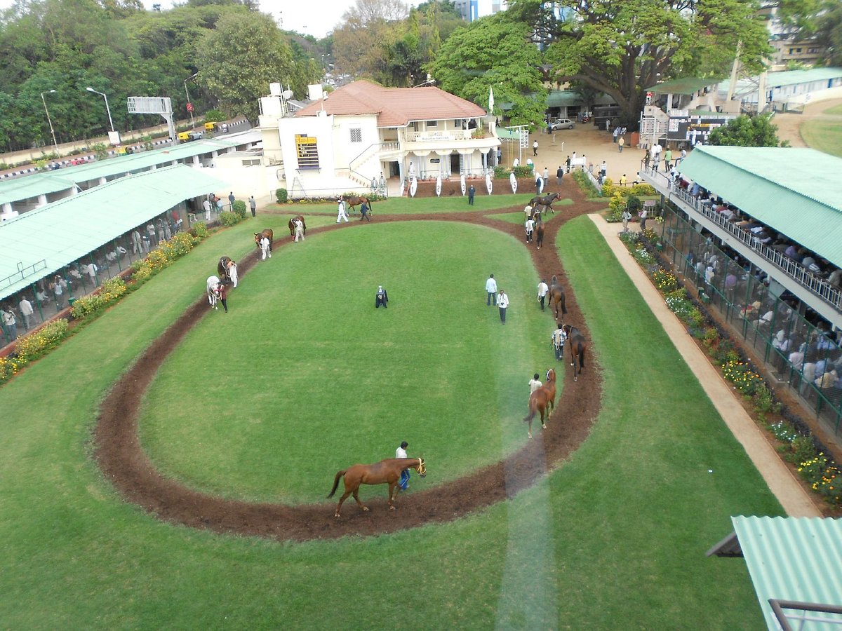Bangalore Turf Club The Premier Destination for Horse Racing and Equestrian Excellence