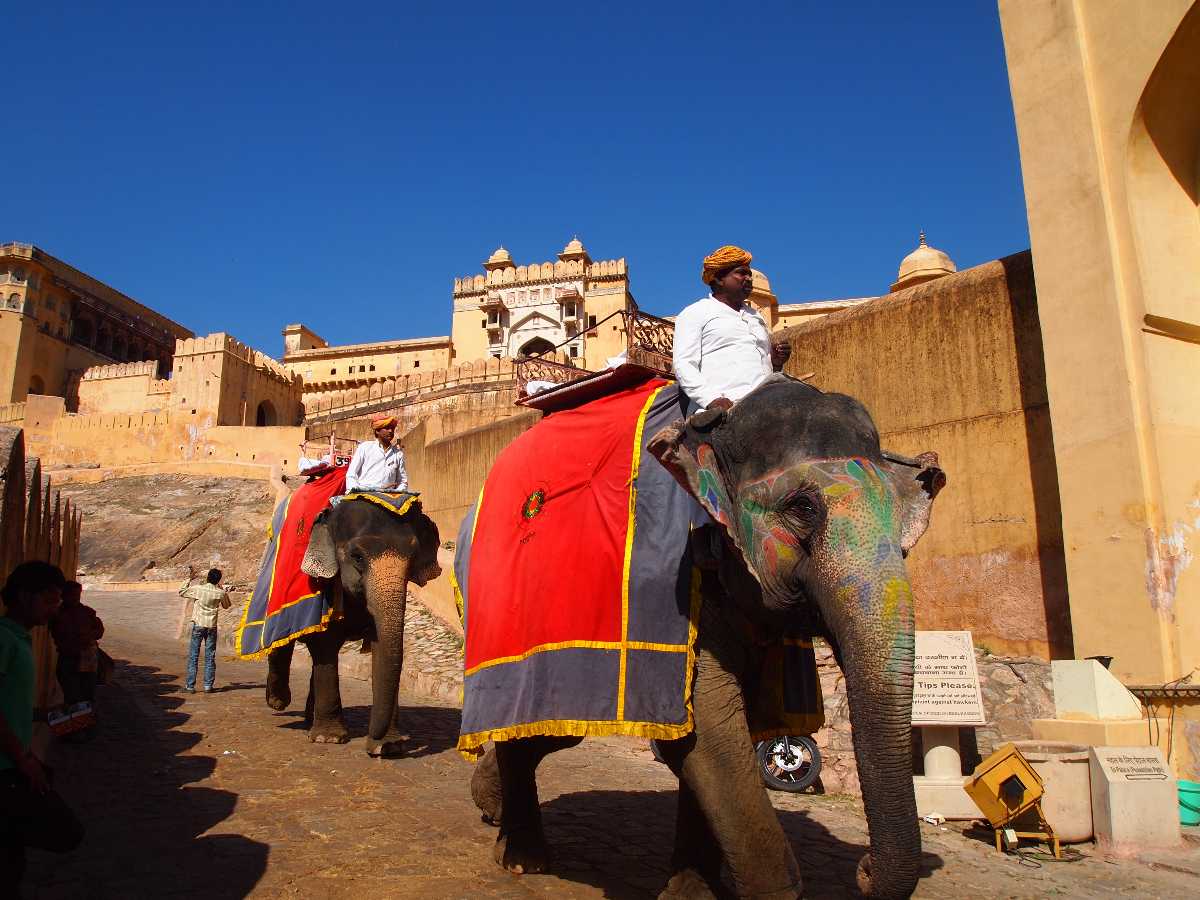 The Incredible Things to Do in Rajasthan