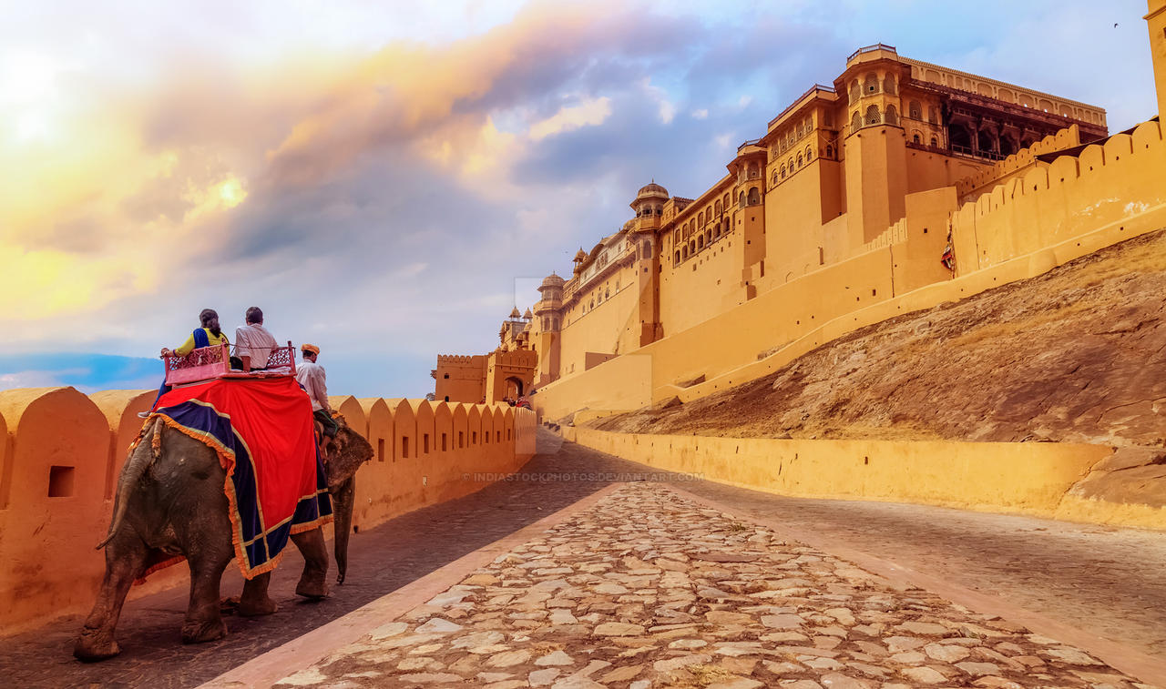 An Ethical Elephant Sanctuary & Interactive Experience in Jaipur