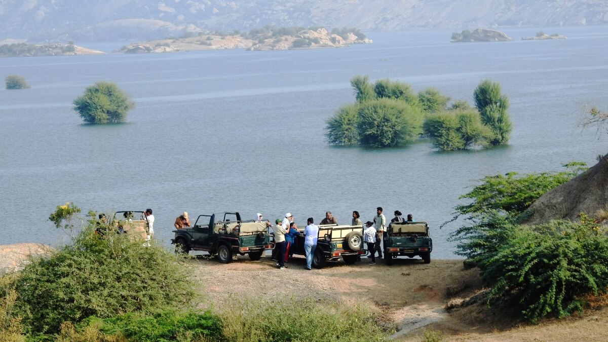 Why is Jawai Bandh famous for ?