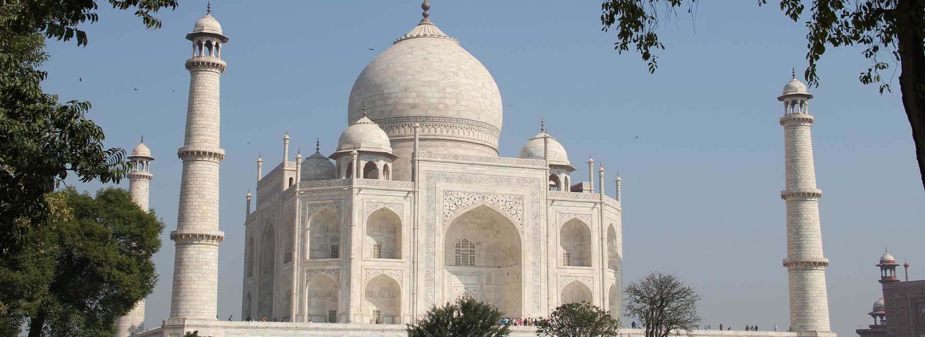 agra banner
