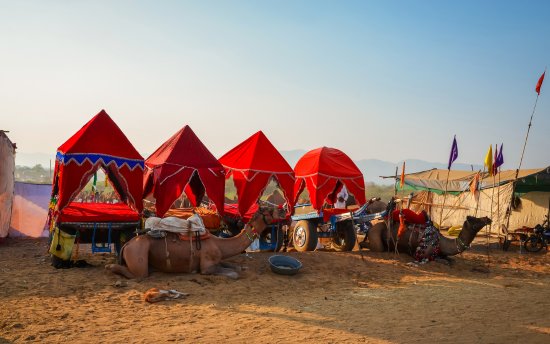 Pushkar Day Trip