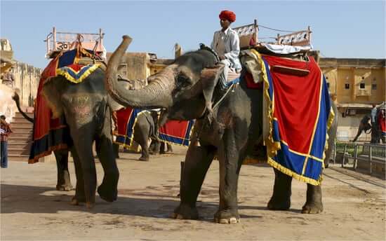 Rajasthan Heritage Tours Packagey