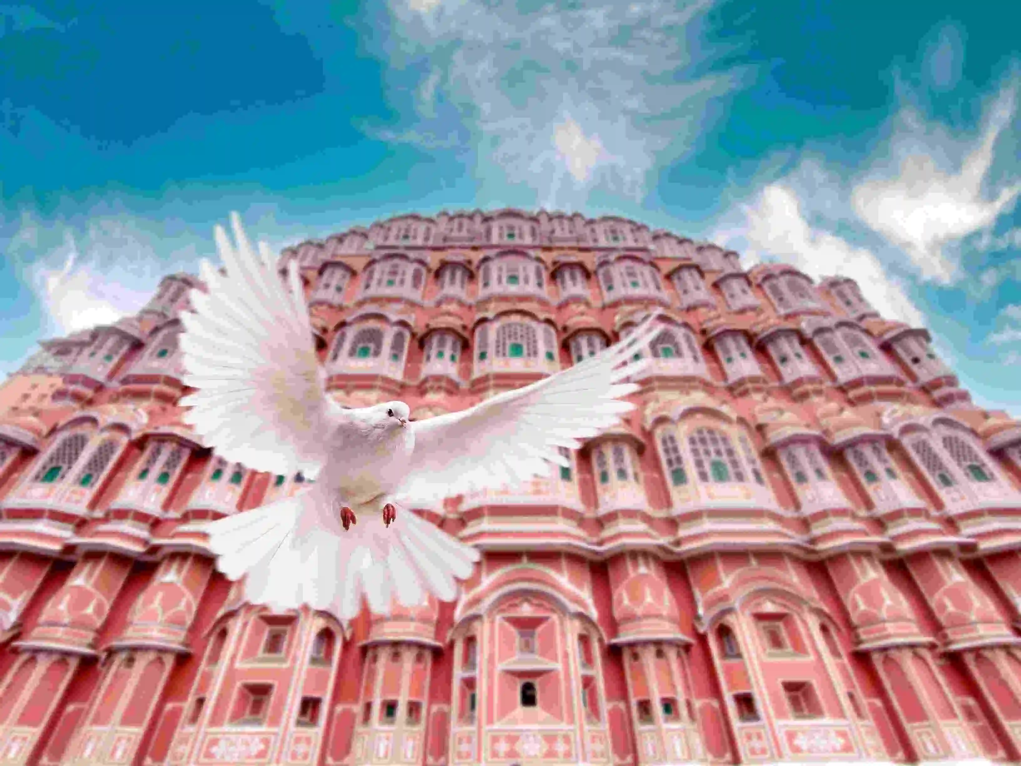14 Days Golden Triangle and Rajasthan Tour from USA with Private Car Driver